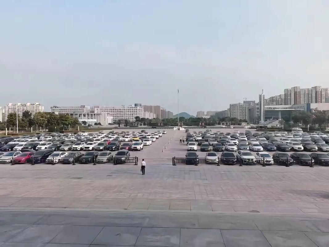 專(zhuān)業(yè)化政府翻譯服務(wù)的價(jià)值與流程解析